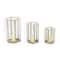 CosmoLiving by Cosmopolitan Gold Glass Modern Lantern Set